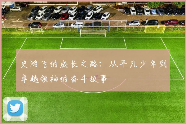 史鸿飞的成长之路：从平凡少年到卓越领袖的奋斗故事