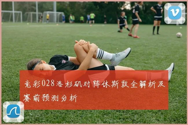 竞彩028洛杉矶对阵休斯敦全解析及赛前预测分析