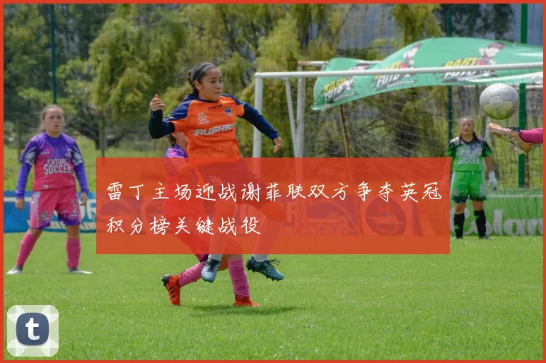 雷丁主场迎战谢菲联双方争夺英冠积分榜关键战役