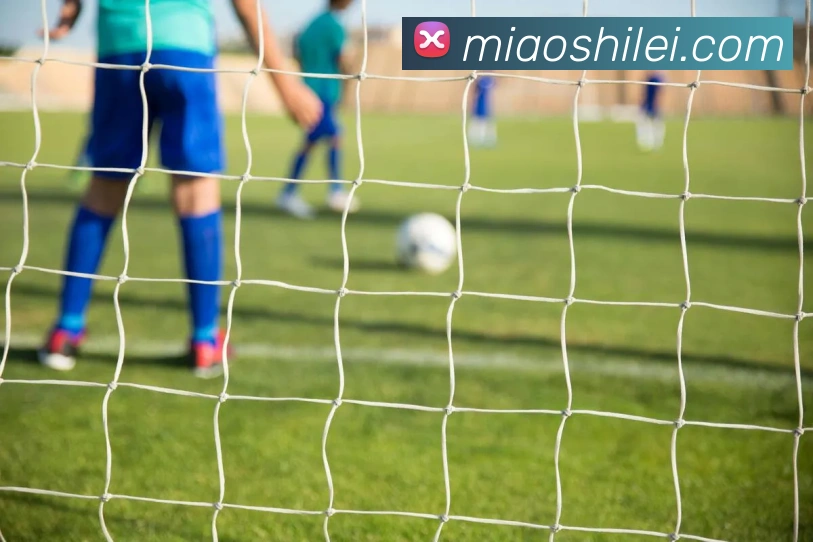 豪门国际平台生态图