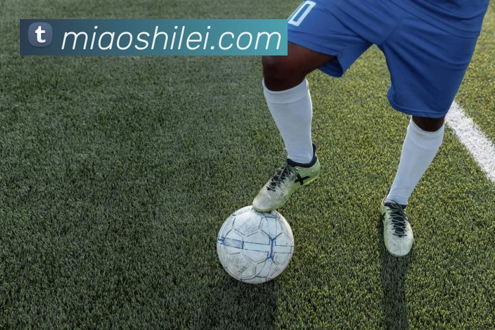 豪门国际APP 封面图